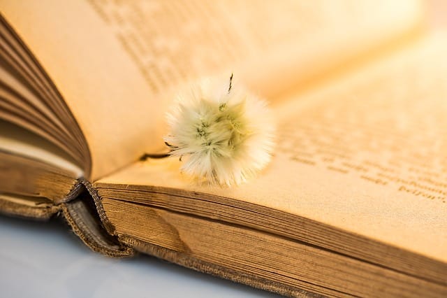 Book Review: The Book of Negroes